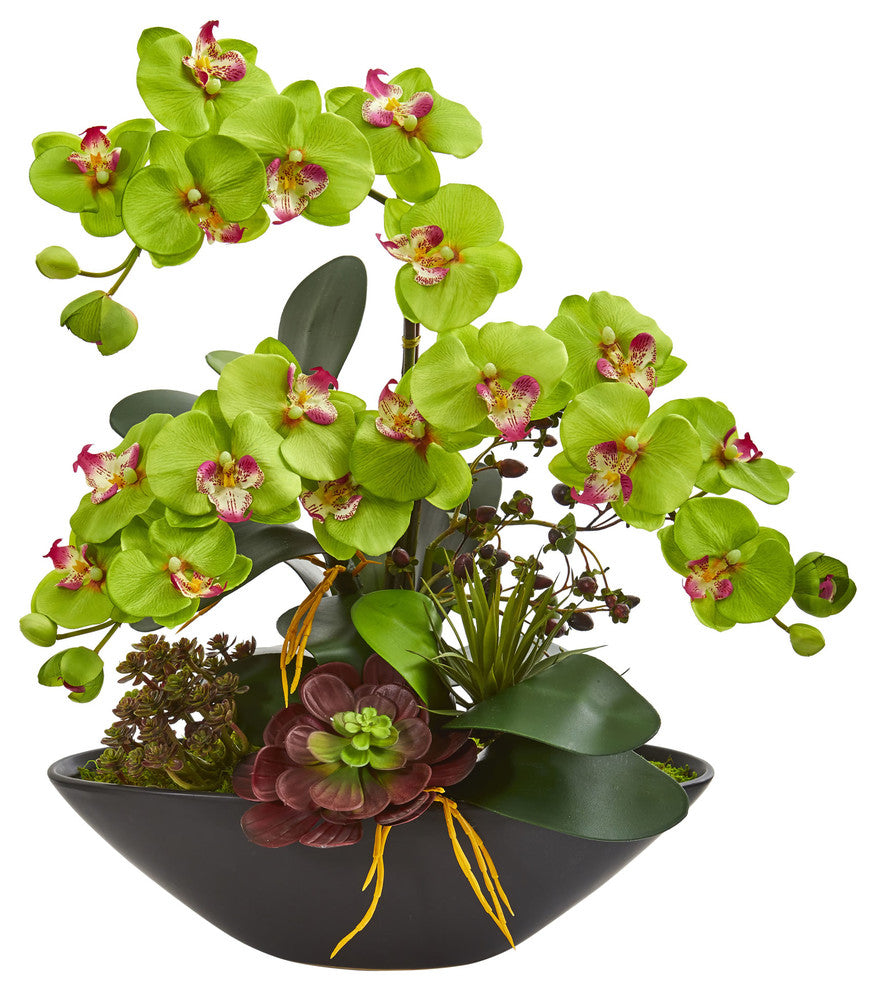 Phalaenopsis Orchid & Mixed Succulent Garden Artificial Arrangement in Green