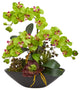 Phalaenopsis Orchid & Mixed Succulent Garden Artificial Arrangement in Green