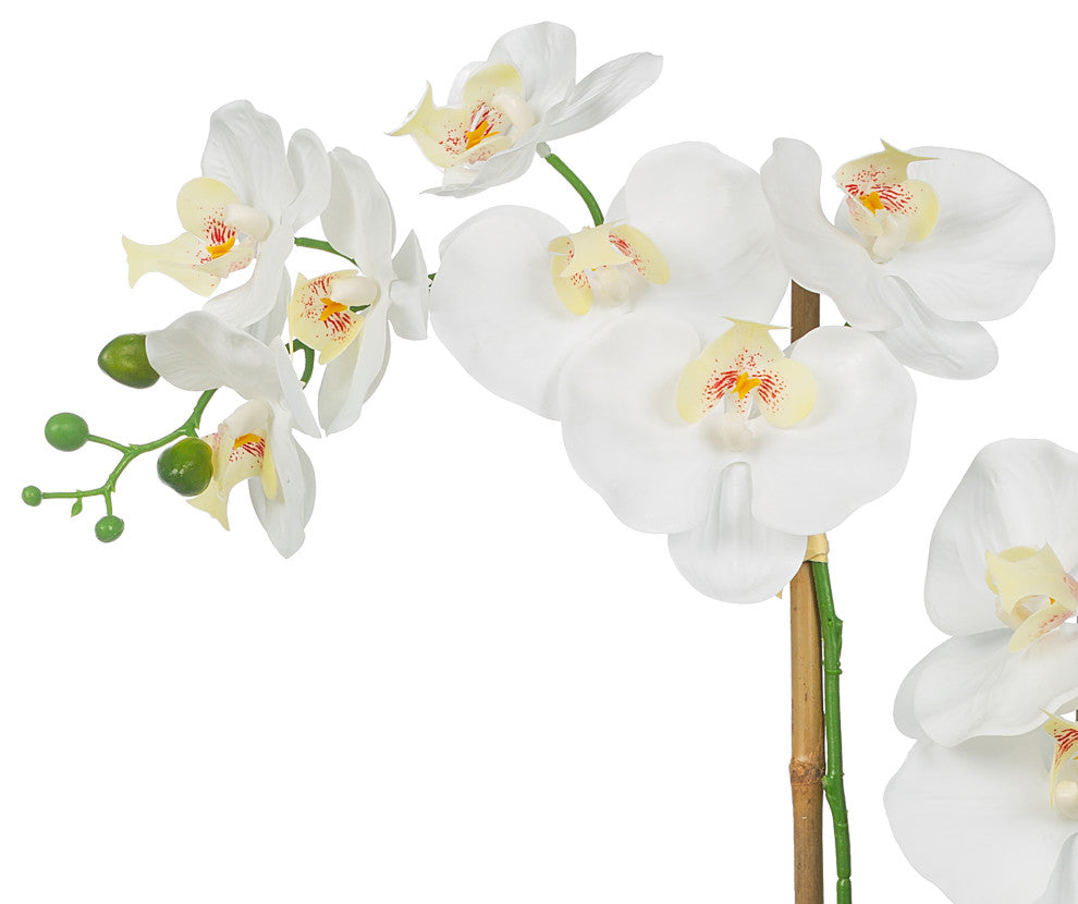 Artificial Phalaenopsis Orchids With Succulents Floral Arrangement, Pot