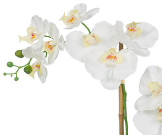 Artificial Phalaenopsis Orchids With Succulents Floral Arrangement, Pot