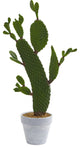 27 Cactus Artificial Plant