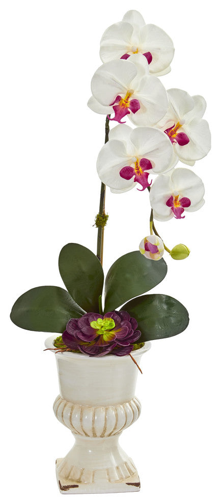Nearly Natural Orchid and Succulent Artificial Arrangement in Urn White