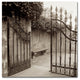 Alan Blaustein 'Avignon I' Canvas Art, 14x14
