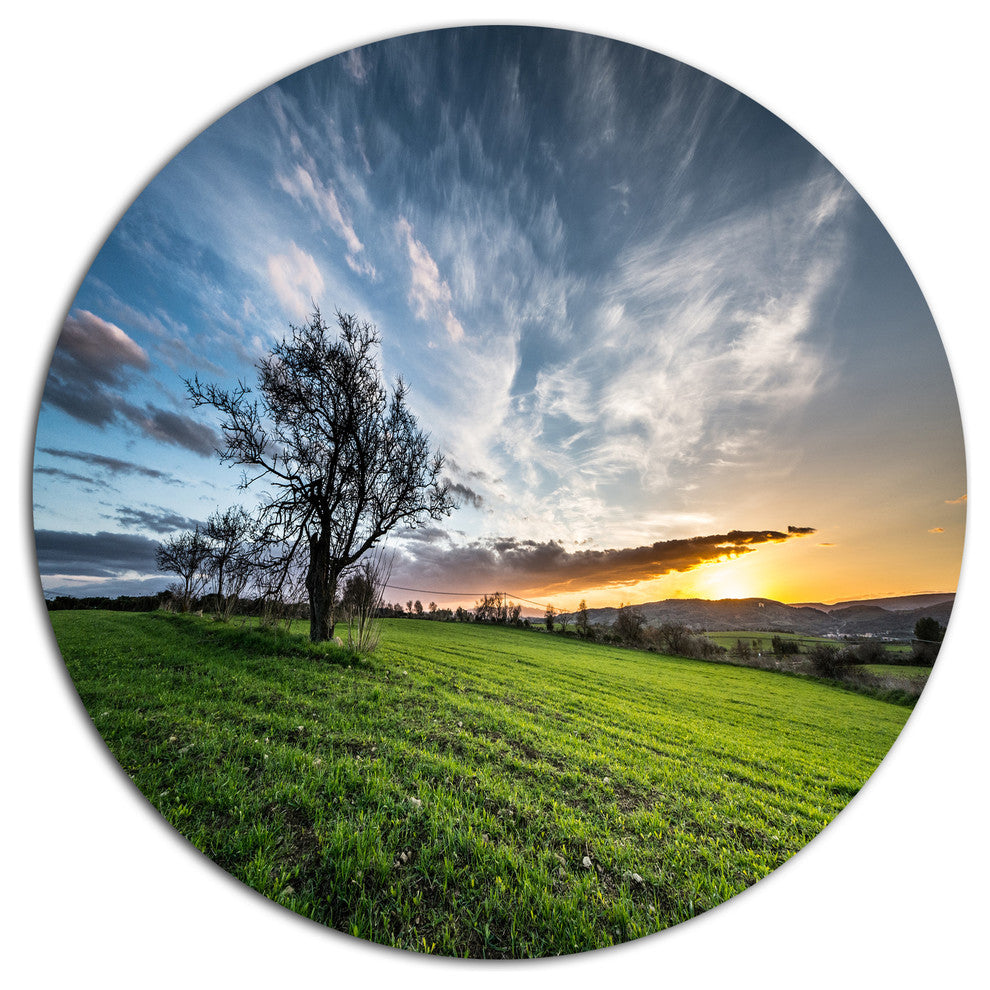 Green Grass Field In Sardinia, Landscape Large Disc Metal Wall Art, 11"
