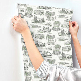 Modern Vista Toile Evergreen Wallpaper