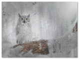 Patty Tuggle 'Owl Dreams' Canvas Art, 24"x18"