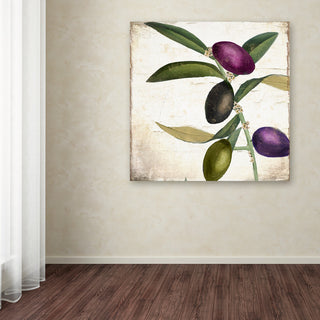 Color Bakery 'Olive Branch II' Canvas Art, 24x24