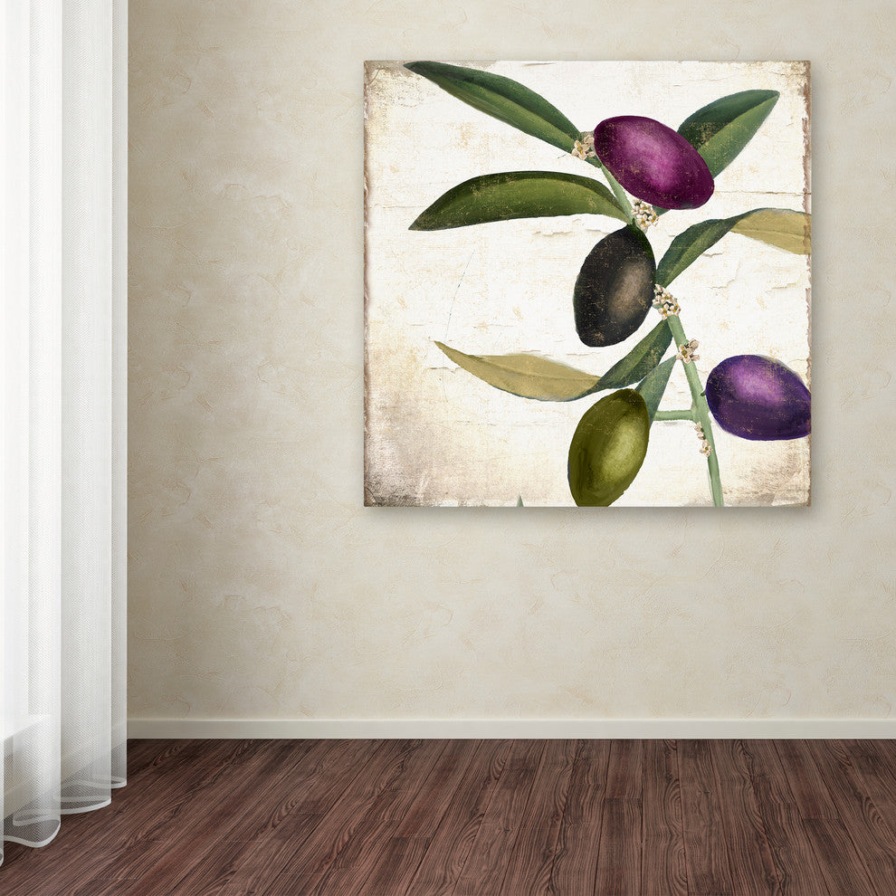 Color Bakery 'Olive Branch II' Canvas Art, 24x24