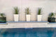 Windsor Tall Square Planter, White, 15"x15"x30"