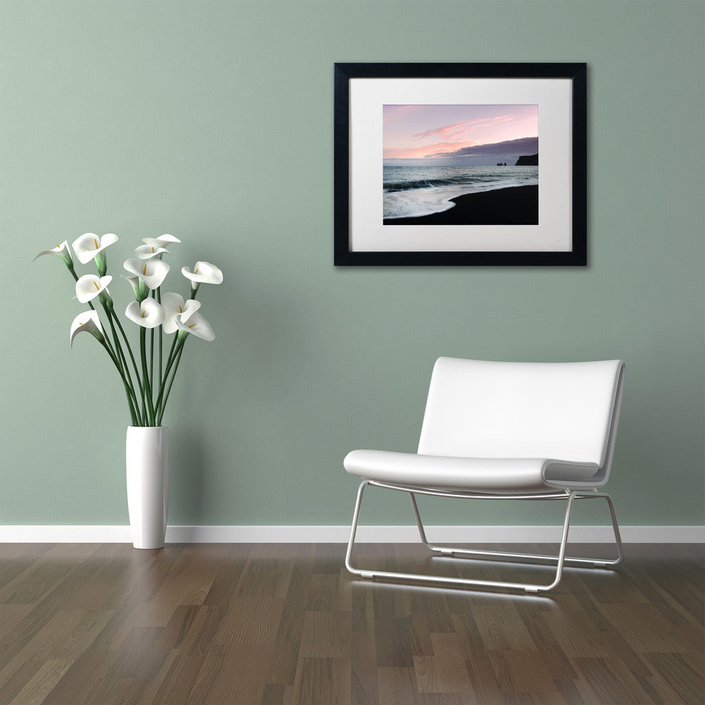 Philippe Sainte-Laudy ''Vik Birds at Sunset'' Matted Framed Art
