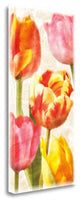 "Glowing Tulips II" By Janel Pahl, Giclee Print on Gallery Wrap Canvas