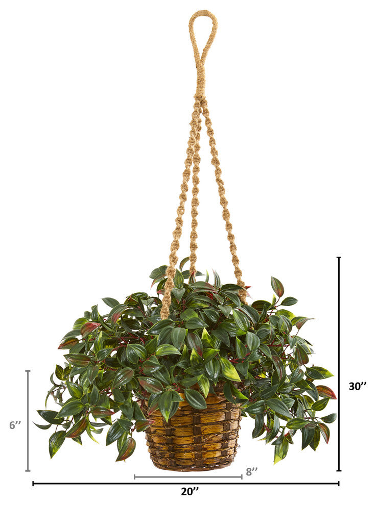 Contains dimensional measurements overlaid on the image (infographic-style).