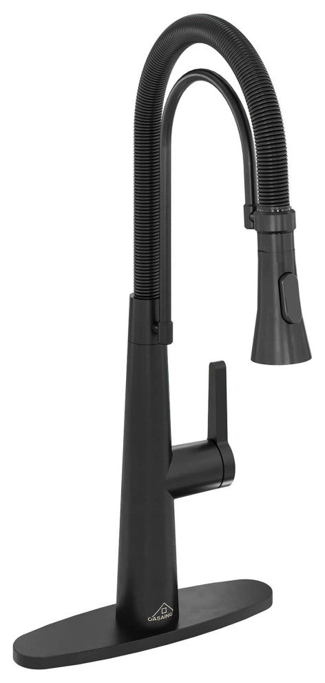 Kitchen Faucet Standard Single-Handle Spring Neck Dual-Function Spray Head, Matte Black