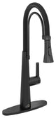 Kitchen Faucet Standard Single-Handle Spring Neck Dual-Function Spray Head, Matte Black
