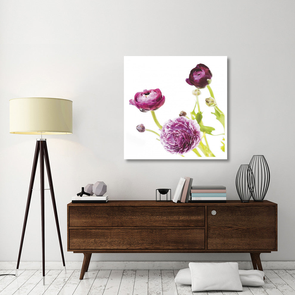 "Spring Ranunculus II" Digital Paper Print by Laura Marshall, 42"x42"