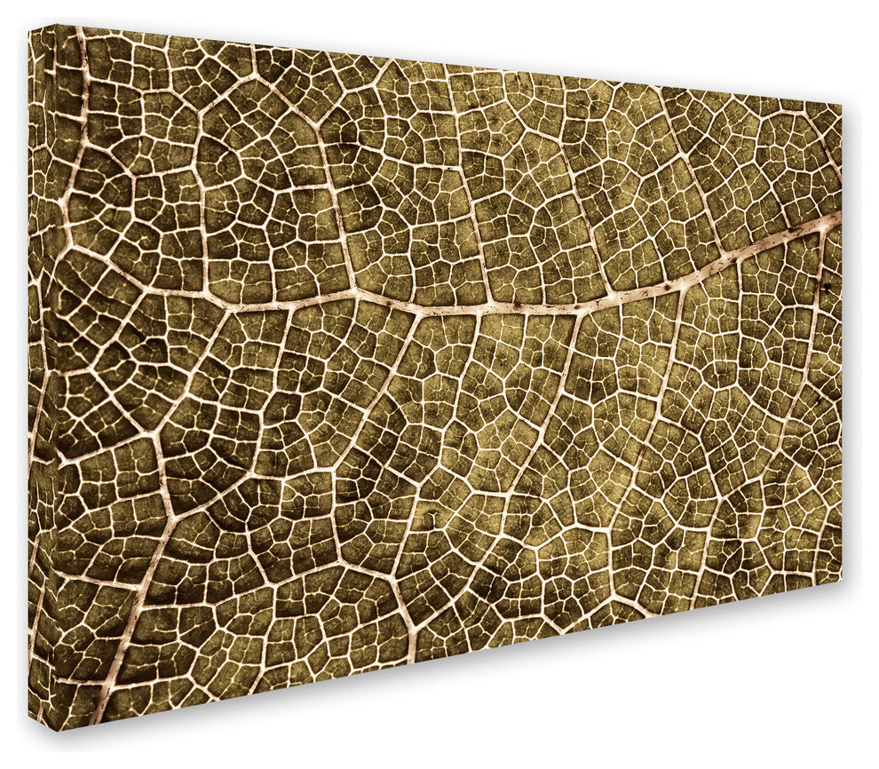 Cora Niele ''Sepia Leaf Texture'' Canvas Art
