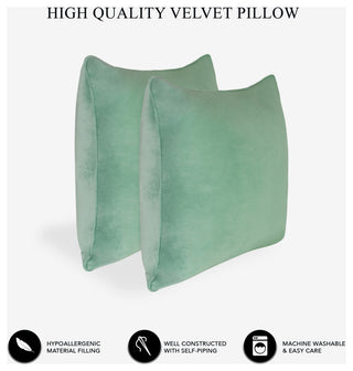 A1HC Throw Pillow Insert, Down Alternative Fill, Set of 2, Como Green, 12"x20"
