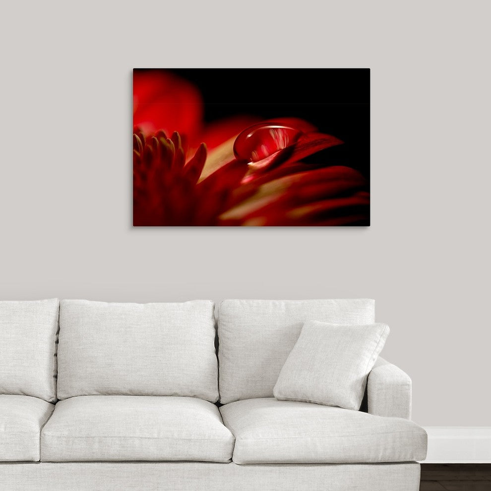 "Red Drop" Wrapped Canvas Art Print, 36"x24"x1.5"