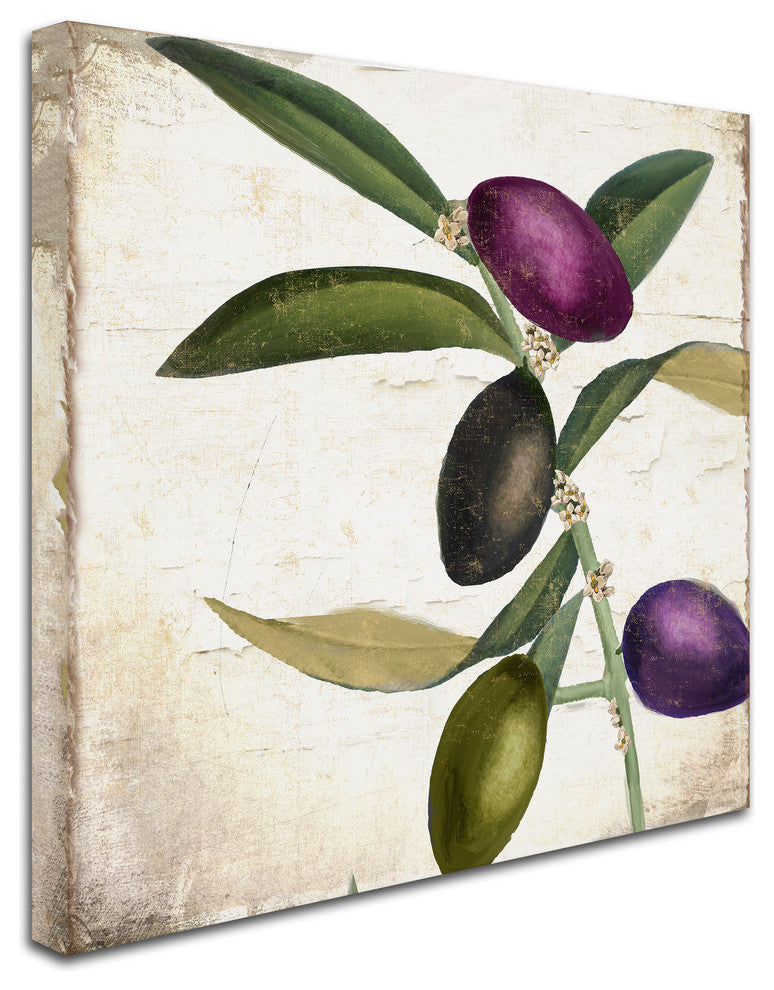 Color Bakery 'Olive Branch II' Canvas Art, 24x24