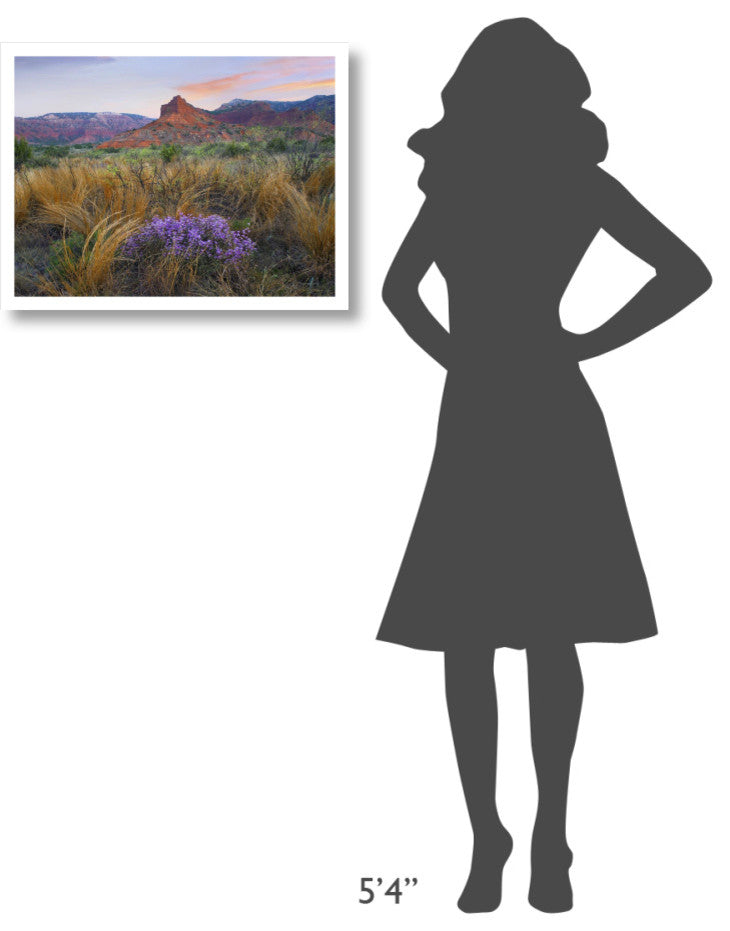 "Caprock Canyons State Park, Texas" Paper Print by Tim Fitzharris, 26"x20"