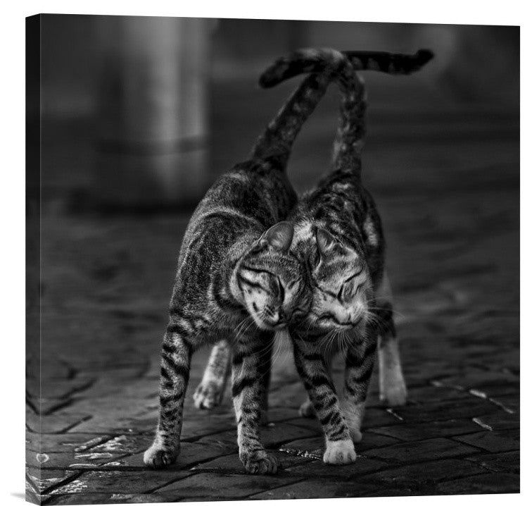 "Untitled" Stretched Canvas Giclee by Nebula, 18"x18"