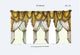 Croisees No. 48 - Framed Paper Poster 20" x 30"