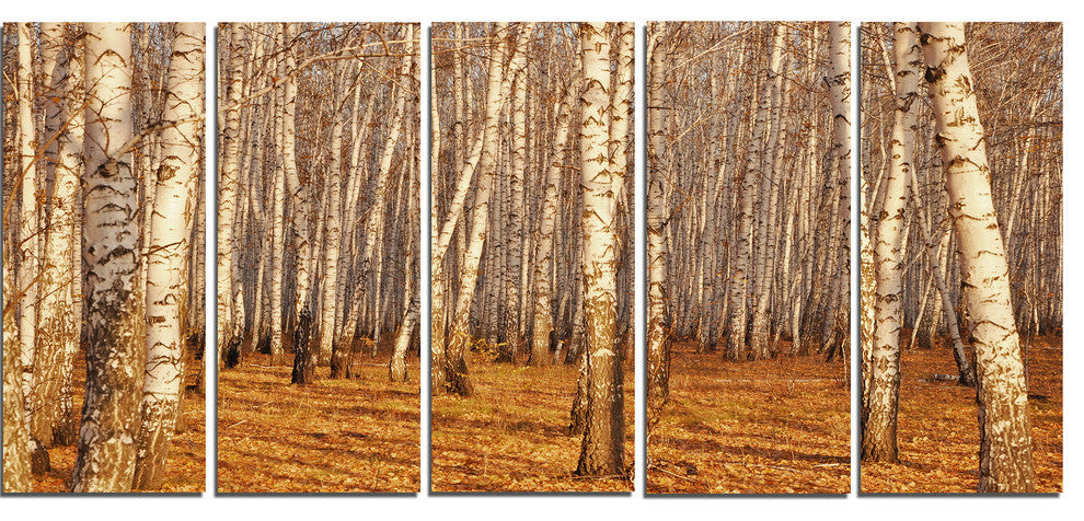 Dense Birch Forest in the Fall, Forest Canvas Art Print, 60"x28", 5 Panels