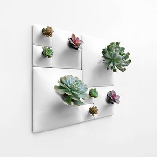 Modern Wall Planter Set, Node Living Wall, Ceramic, BS2, White