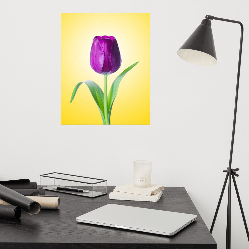 Purple Tulip on Yellow Minimal Floral Nature Photo Loose Wall Art Print, 16" X 20"