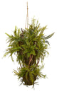 39" Mixed Forest Foliage and Fern Artificial Hanging Plant