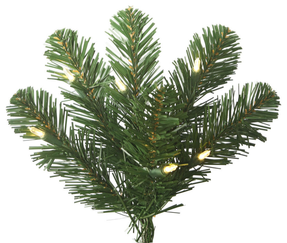Vickerman 26" x 19" Oregon Fir WA 50LED WmWht - C164027LED
