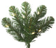 Vickerman 26" x 19" Oregon Fir WA 50LED WmWht - C164027LED