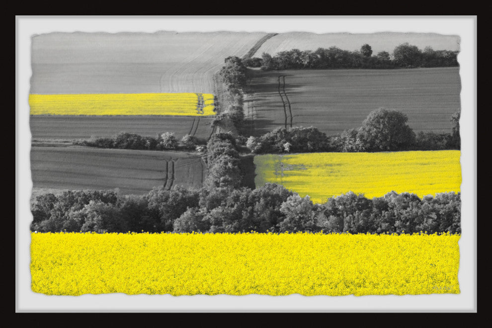 "Spring Colors" Framed Painting Print, 36x24