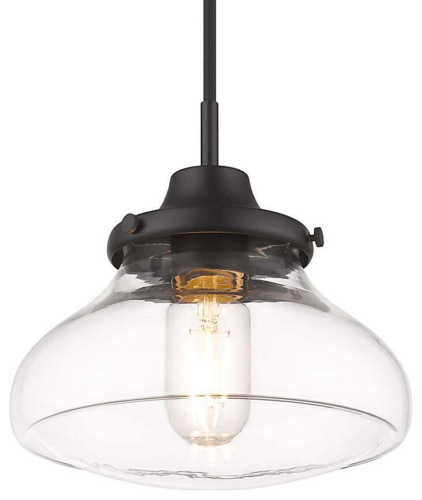 1 Light 8" Small Pendant, Black With Clear Glass