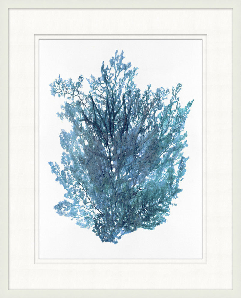 Indigo Seagrass 1, Giclee Reproduction Artwork