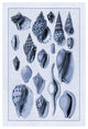 "Shells: Trachelipoda #6 (Blue)" Digital Paper Print by G.B. Sowerby, 18"x26"