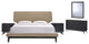 Modway Bethany 5 Piece Queen Bedroom Set, Black Latte
