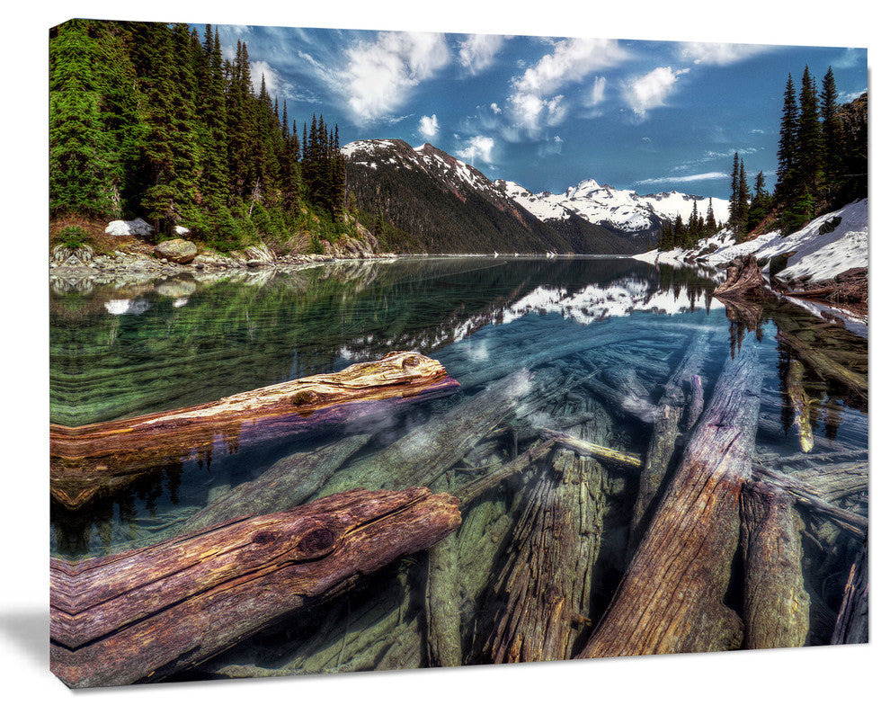 Sunken Logs n Mountain Lake, Extra Large Landscape Canvas Art Print, 40"x30"