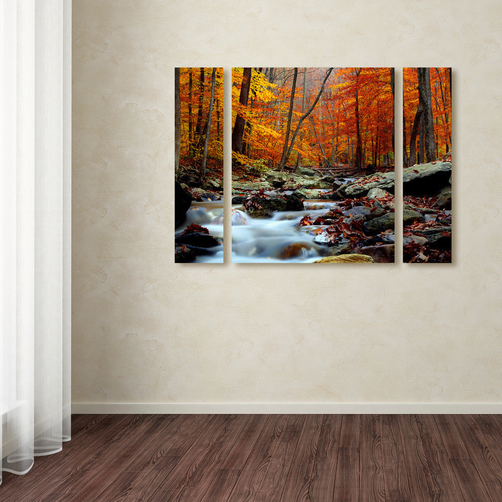 CATeyes 'Ultimate Truth' Multi Panel Art Set, 41"x30"