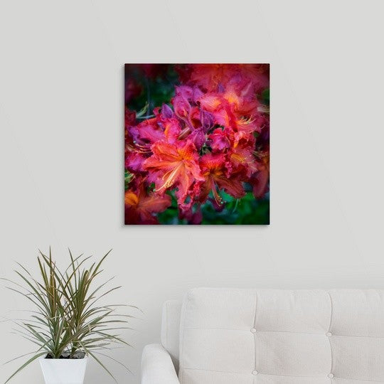 "Park Blossoms" Wrapped Canvas Art Print, 18"x20"x1.5"