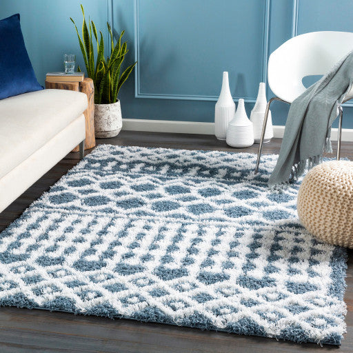 Surya Urban Shag USG-2311 7'10"x10'2" Rug, Denim/White