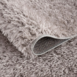 Gewnee Camdyn Super Soft Polyester Shag Area Rug, 4'x6'