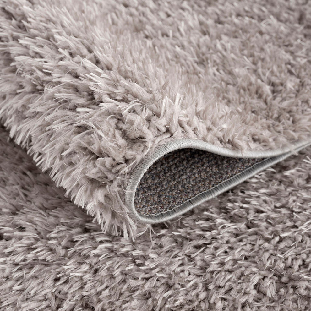 Gewnee Camdyn Super Soft Polyester Shag Area Rug, 4'x6'