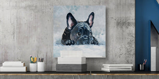 "Afraid Pug" Painting Print on Wrapped Canvas, 48"x48"