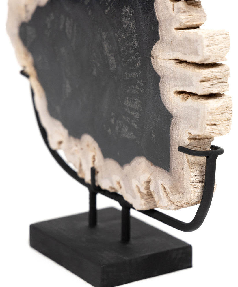 Petrified Wood Sculpture-Dark