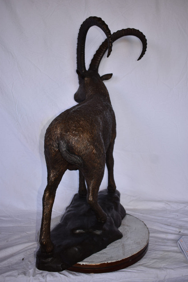 Standing Lifesize Mountain Goat Bronze Statue Size: 22"L x 36"W x 48"H.