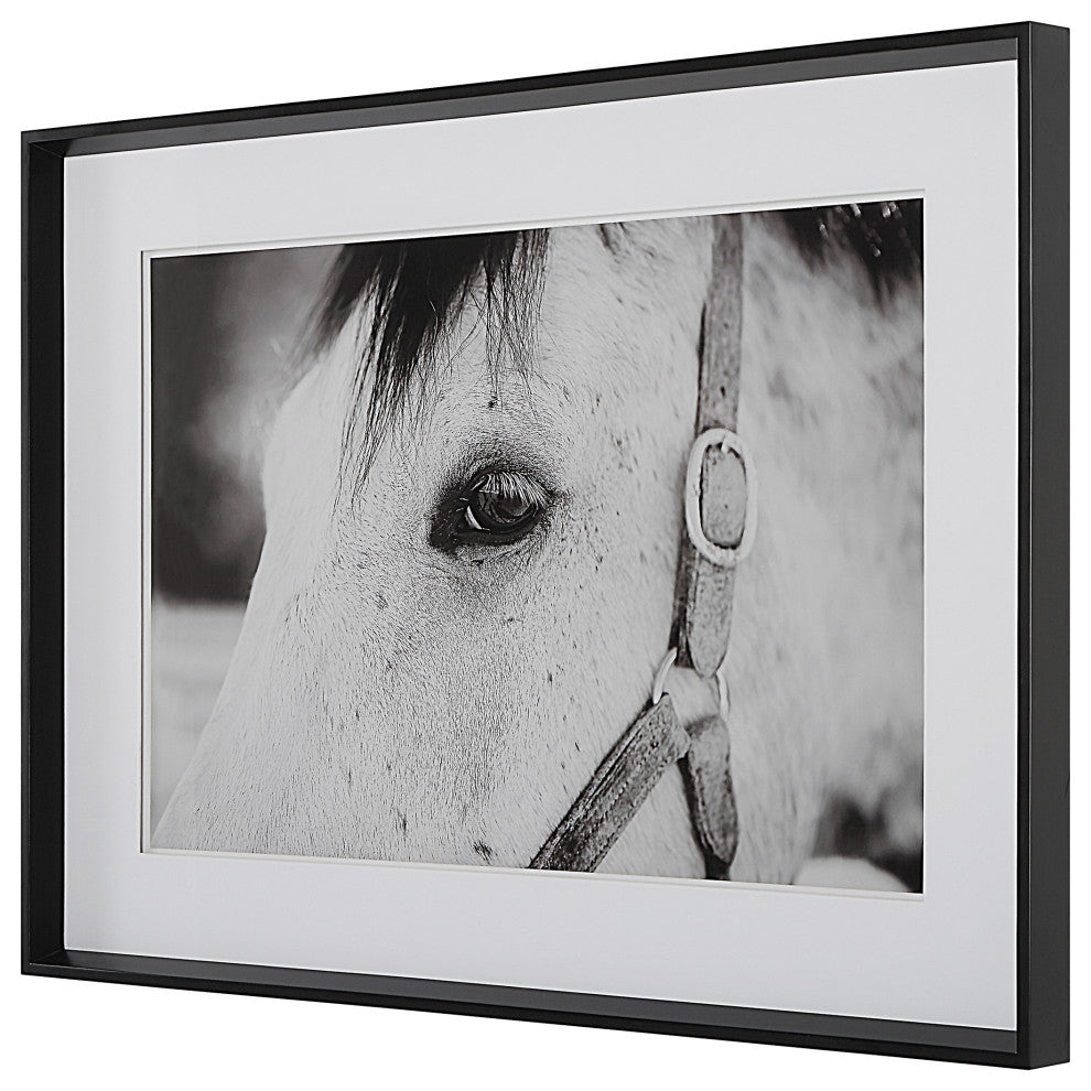 Uttermost 41463 Eye Of The Beholder Framed Print