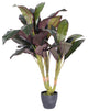 30" Real Touch Dracaena In Pot