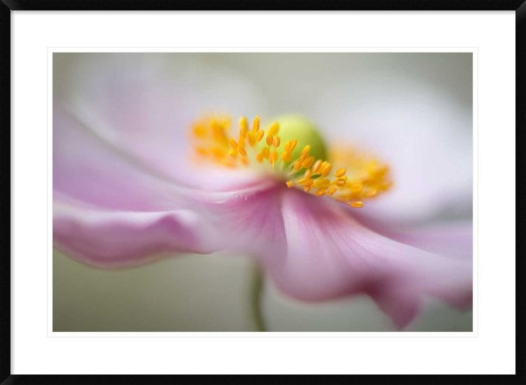 "Untitled" Framed Digital Print by Mandy Disher, 38"x28"