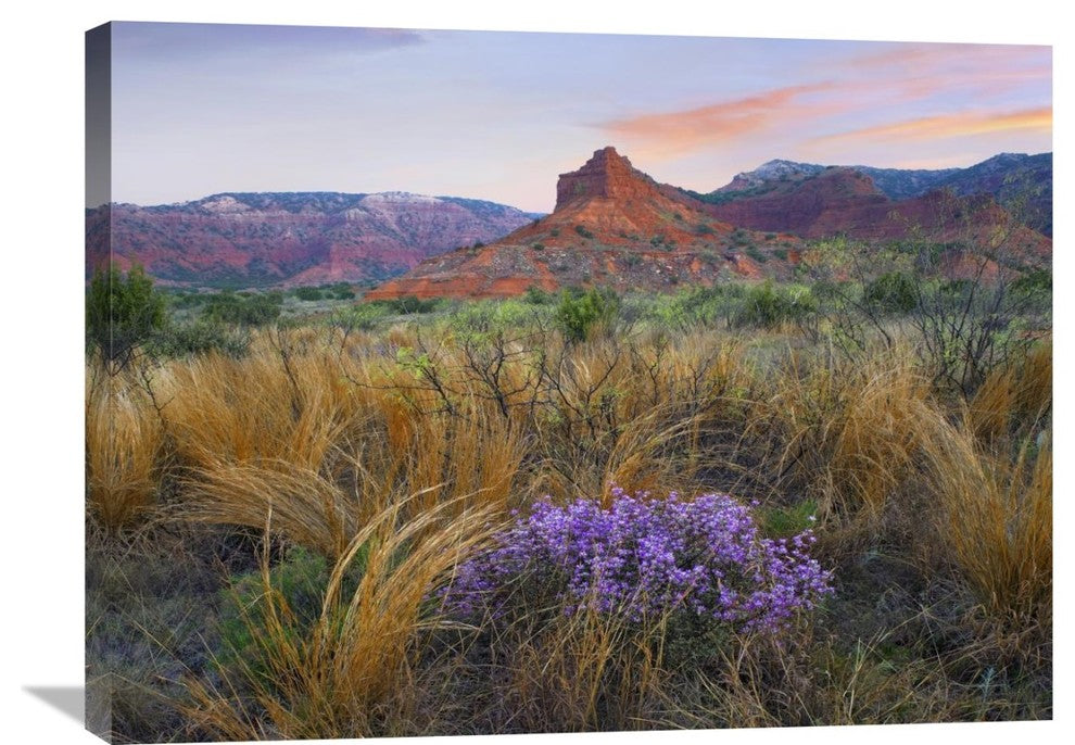 "Caprock Canyons State Park, Texas" Artwork, 32" x 24"